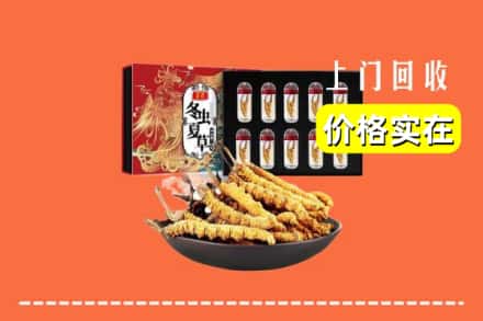 上海普陀区回收冬虫夏草